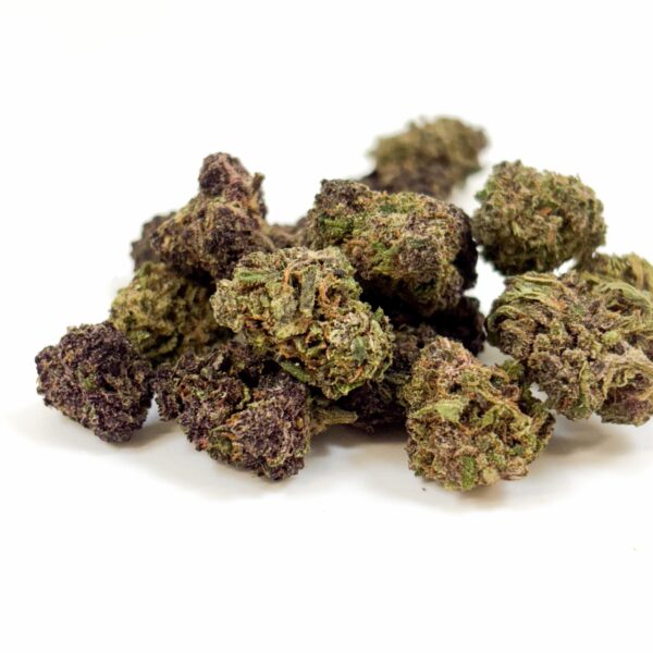 💥 NEW ! Blue Saphir Indoor