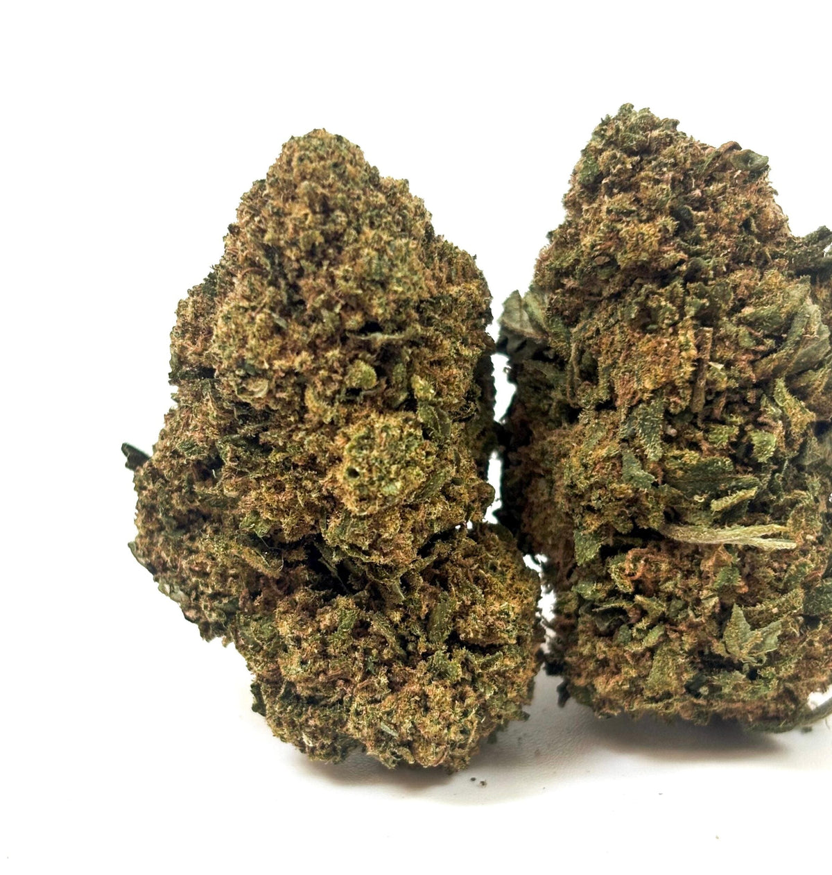 💥 NEW ! Caramel Candy – Glasshouse