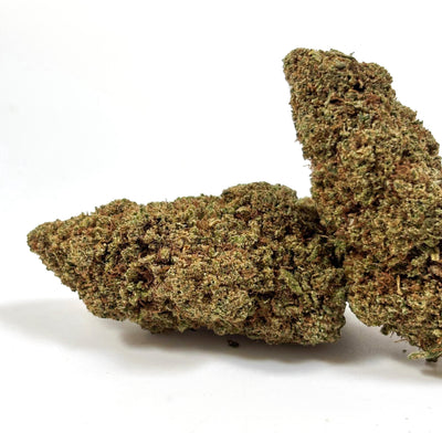 💥 NEW ! Mango OG – Indoor Premium