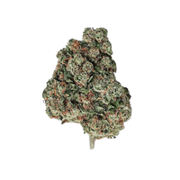 L.A CALI (CALIFORNIA GENETICS)