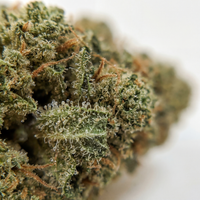 💥 NEW ! Super Silver Haze – Glasshouse