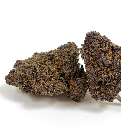 💥NEW ! Blue Gelato – Indoor Premium