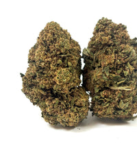 💥 NEW ! Caramel Candy – Glasshouse