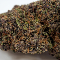 💥NEW ! Blue Gelato – Indoor Premium