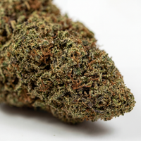 💥 NEW ! Mango OG – Indoor Premium