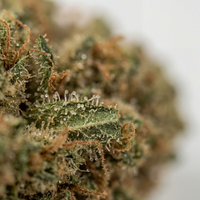 💥 NEW ! Caramel Candy – Glasshouse