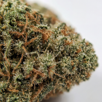 💥 NEW ! Cherry Lemonade Indoor