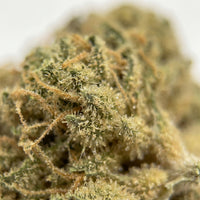 💥NEW ! Banana Kush – Indoor Premium