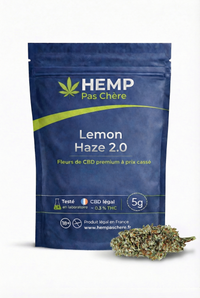 Lemon Haze 2.0