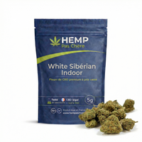 💥NEW ! White Sibérian Indoor