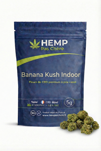 💥 NEW ! Banana Kush indoor