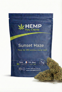 💥 NEW ! Sunset Haze