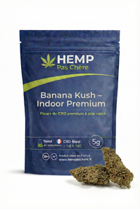 💥 NEW ! Mango OG – Indoor Premium