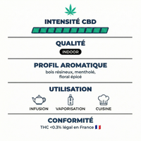 💥NEW ! White Sibérian Indoor