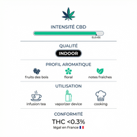 💥 NEW ! Blue Saphir Indoor