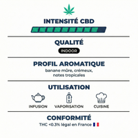 💥 NEW ! Banana Kush indoor