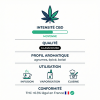 💥 NEW ! Super Silver Haze – Glasshouse