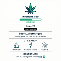 💥 NEW ! Bomb Cake – Glasshouse française