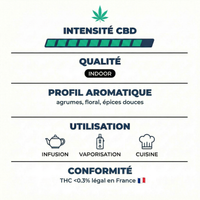 💥 NEW ! Sunset Haze