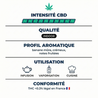 💥NEW ! Banana Kush – Indoor Premium