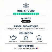 💥 NEW ! Mango OG – Indoor Premium