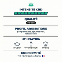 💥NEW ! Grapefruit – Indoor Premium