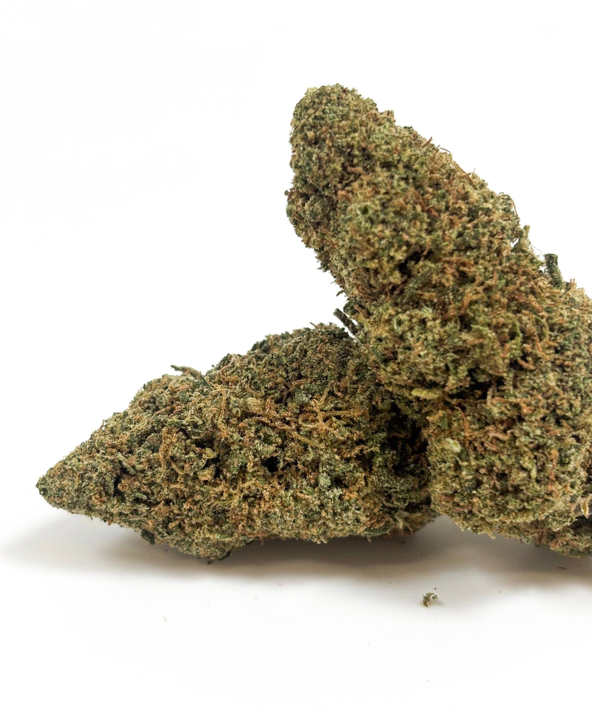 💥 NEW ! Sunset Haze