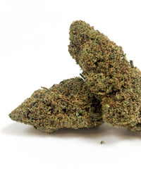 💥 NEW ! Sunset Haze