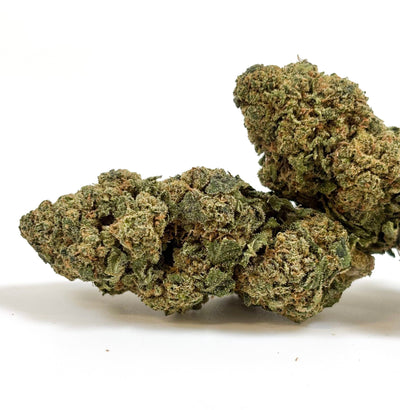 💥 NEW ! Super Silver Haze – Glasshouse