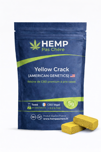 Yellow Crack (AMERICAN GENETICS) 🇺🇸